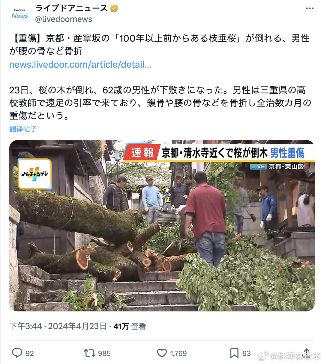 産寧坂的这棵百年樱花树昨天倒了，以后再也拍不到了