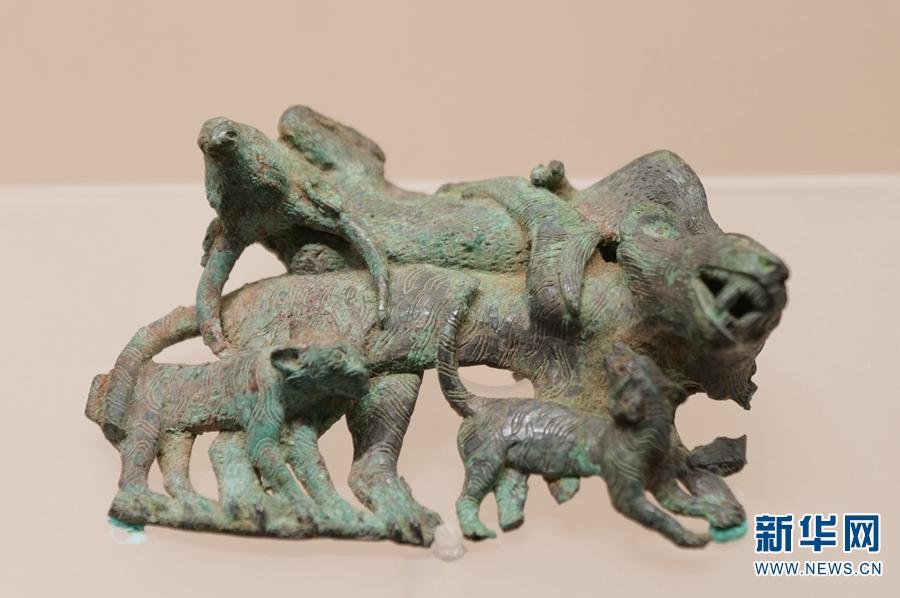 虎年到 云博“小虎队”送祝福!休闲区蓝鸢梦想 - Www.slyday.coM 虎年到 云博“小虎队”送祝福!休闲区蓝鸢梦想 - Www.slyday.coM