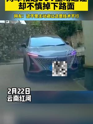 两车相遇SUV主动避让却不慎掉下路面 网友：这不是主动避让这是技术不行