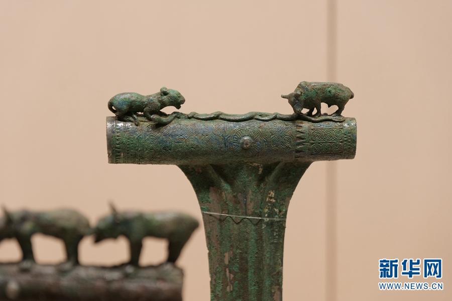 虎年到 云博“小虎队”送祝福!休闲区蓝鸢梦想 - Www.slyday.coM 虎年到 云博“小虎队”送祝福!休闲区蓝鸢梦想 - Www.slyday.coM