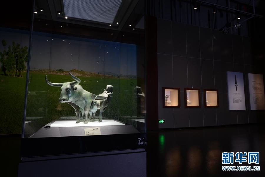 虎年到 云博“小虎队”送祝福!休闲区蓝鸢梦想 - Www.slyday.coM 虎年到 云博“小虎队”送祝福!休闲区蓝鸢梦想 - Www.slyday.coM