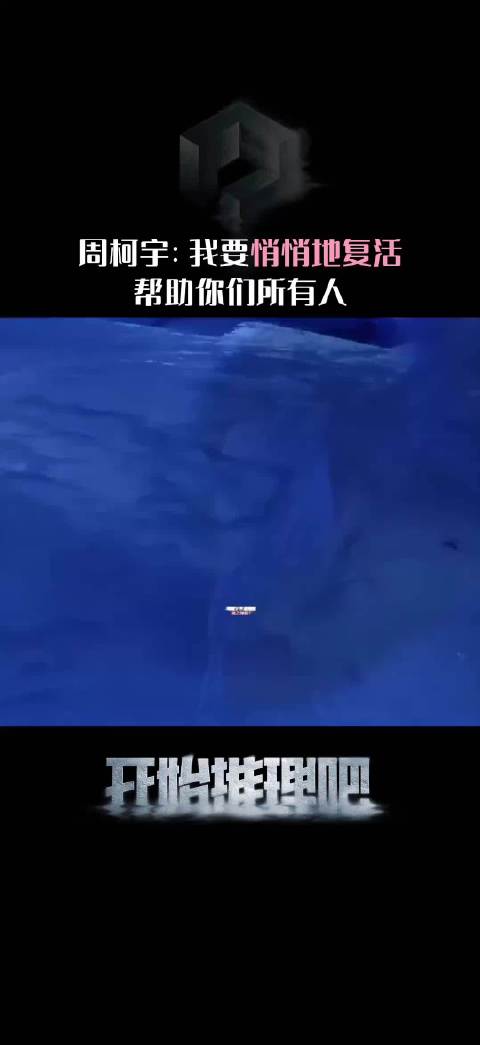 一款悄悄复活帮助所有人的靠谱忙内