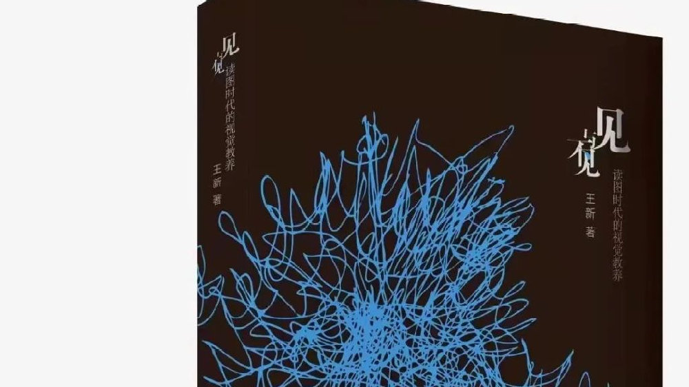 见与不见:读图时代的视觉教养|王新|视觉|读图时代_新浪新闻