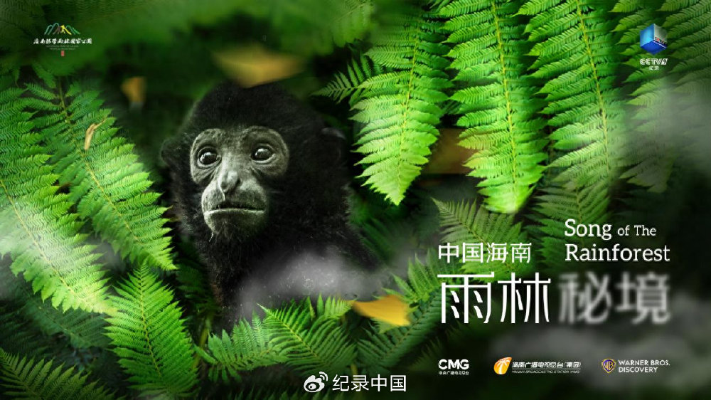 讲好海南热带雨林故事，《中国海南·雨林秘境》重磅推出