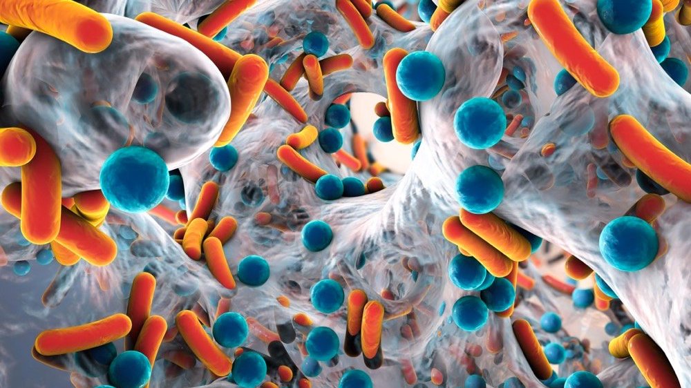 哈佛大学研究团队合成新型抗生素，有效克服抗微生物药物的挑战