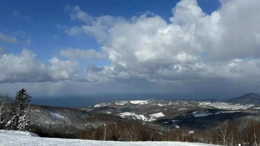 新能源车险成“烫手山芋”