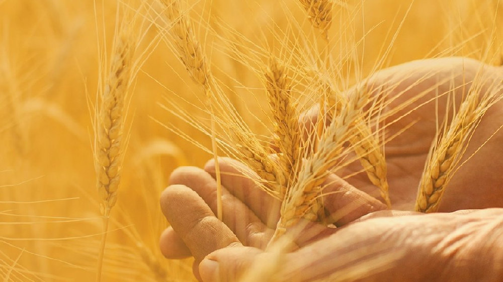 买车买家电好时机！最高补贴2万元，买车就来第39届荷城车展！