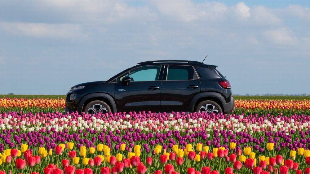 奥迪A6L烧机油解决经历