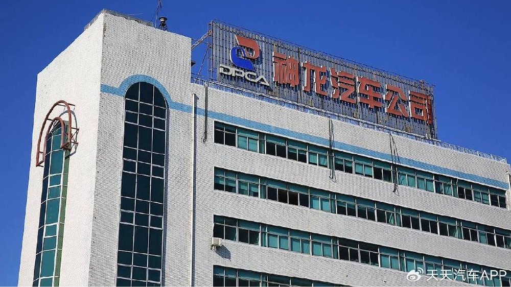 拯救神龙：要用什么回魂丹？