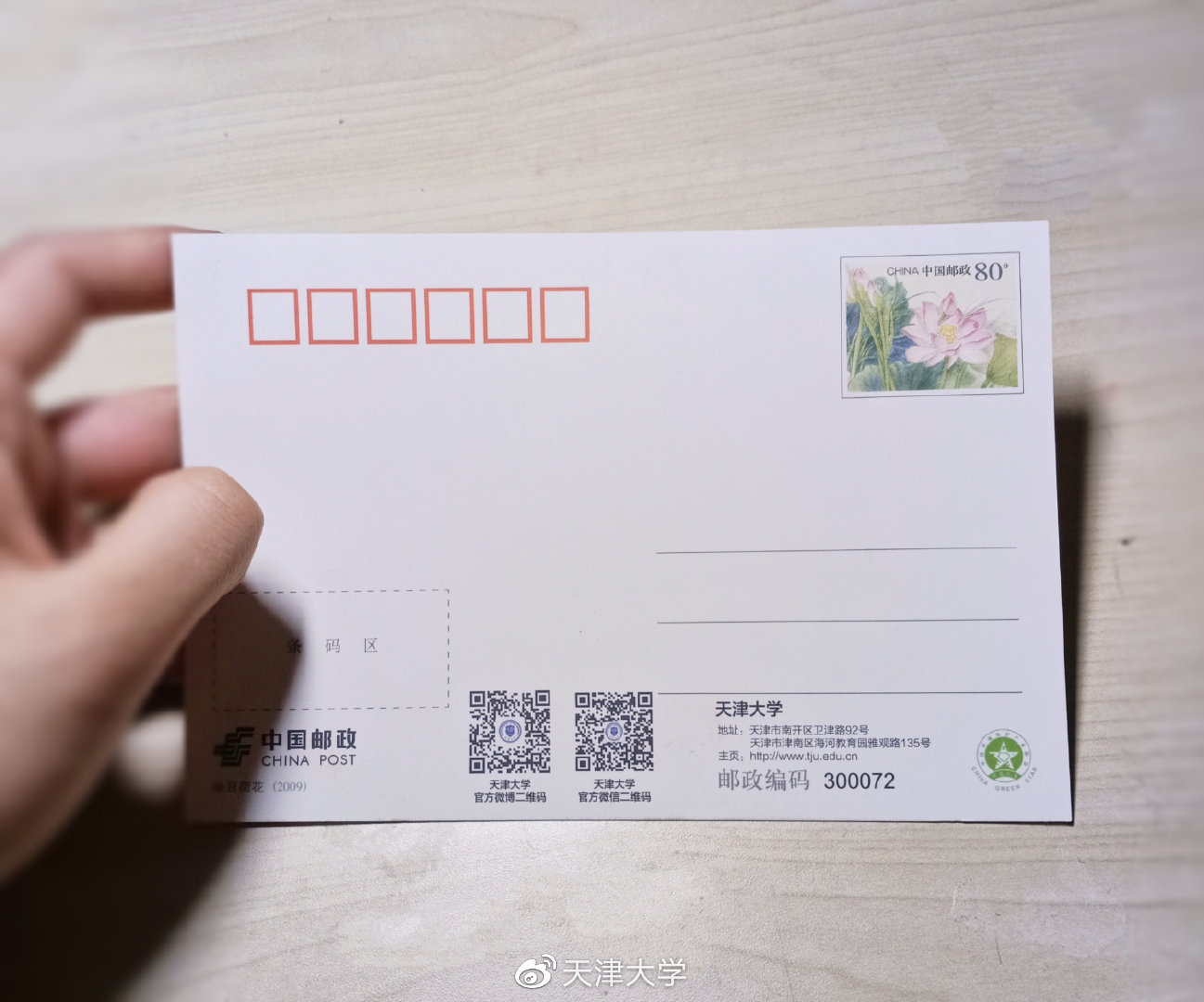 听2021天大海棠季主题明信片设计者讲述她与海棠季的故事