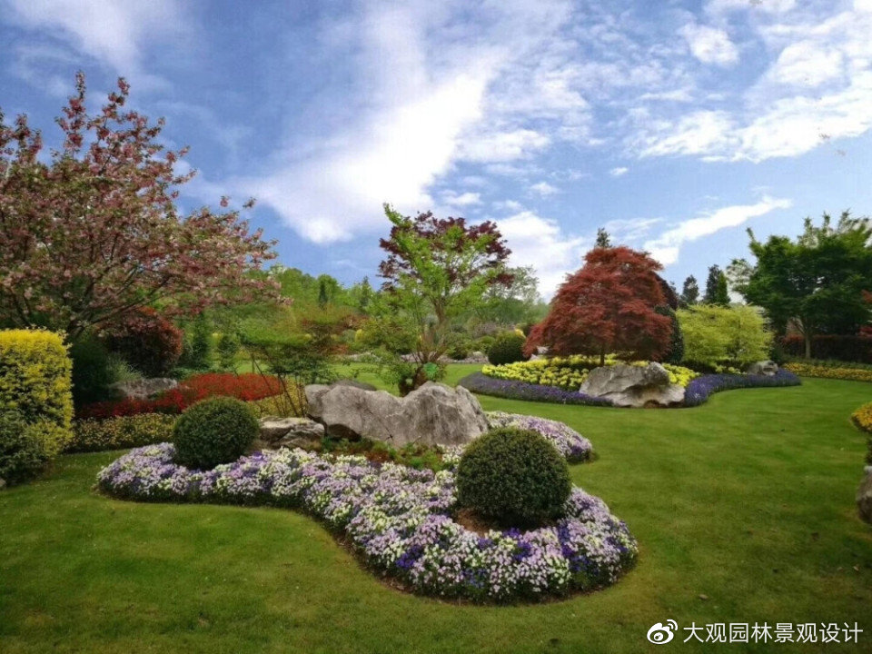 花境有多美,就有多难搭配,别让绝绝子的花境拉低了你花园的档次|花境|花园|宿根花卉_新浪新闻