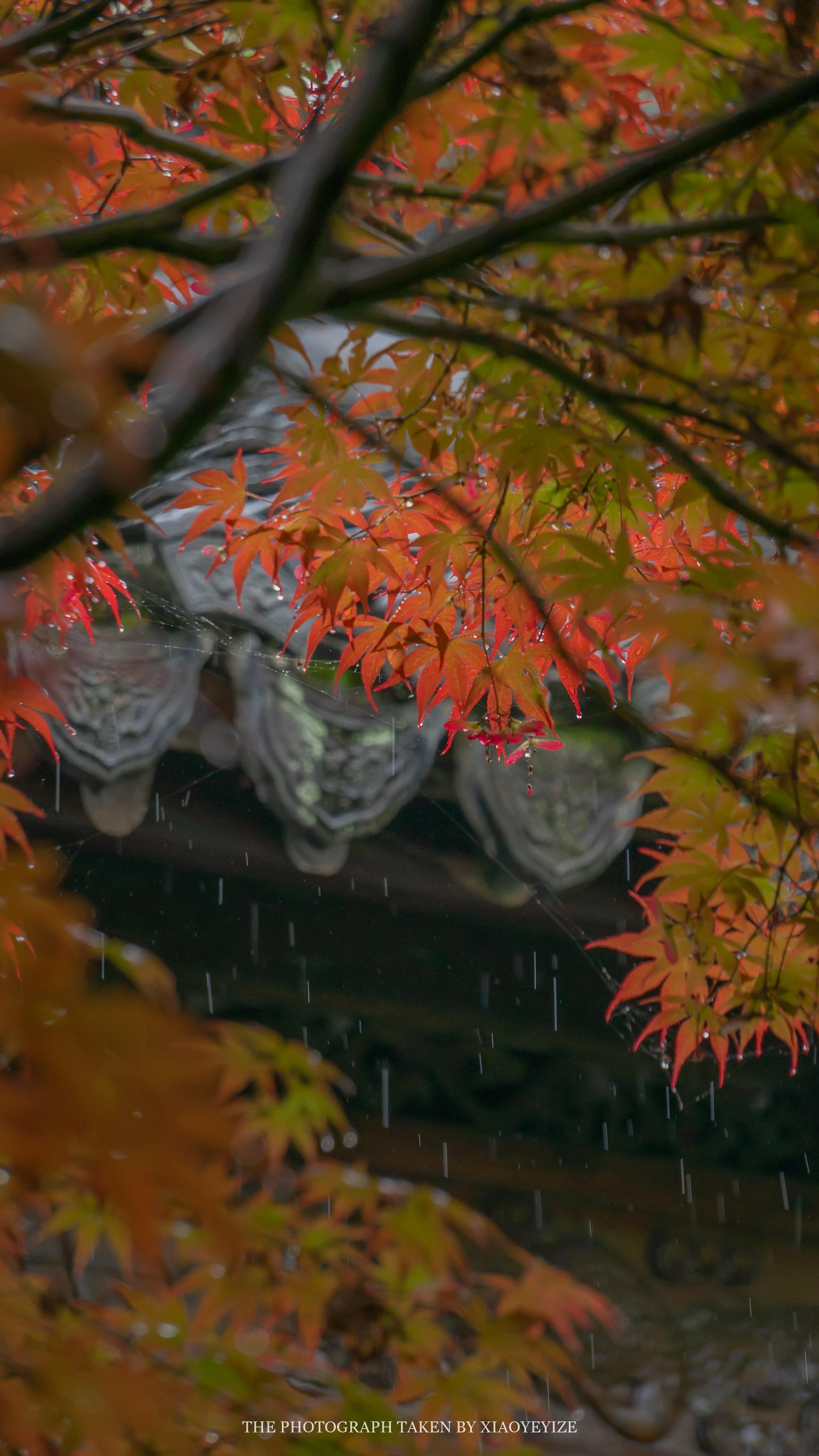 倚楼听风雨 淡看江湖路