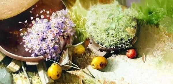 花卉绘：<a href=