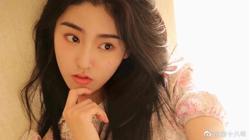 鸡和狗为什么是上婚 生肖合拍协助互补-鸡和狗为啥不合
