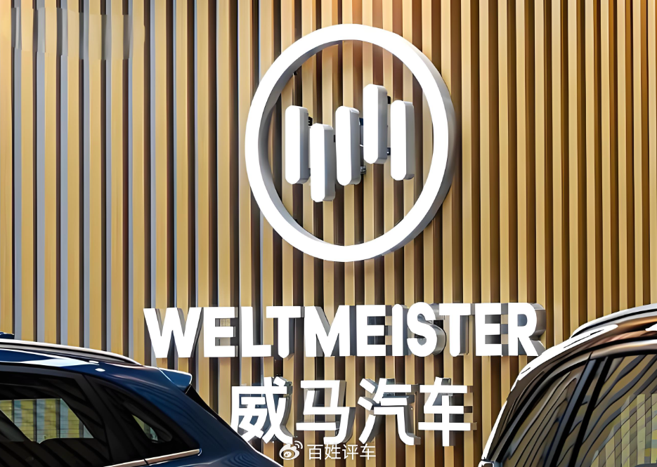 从破产到砸2亿开公司，威马的逆袭之路到底好走吗？