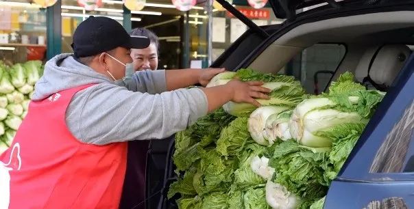 东北人买菜有多豪横?大妈一出手就是1000斤白菜……休闲区蓝鸢梦想 - Www.slyday.coM 东北人买菜有多豪横?大妈一出手就是1000斤白菜……休闲区蓝鸢梦想 - Www.slyday.coM