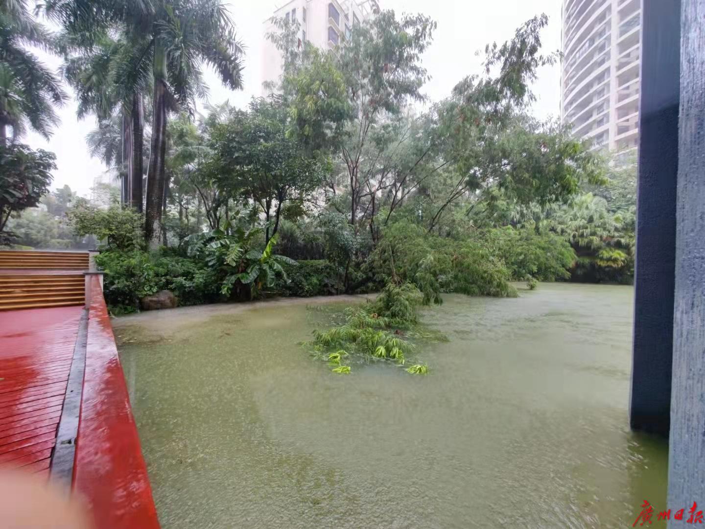 珠海:全市暴雨预警升级为红色,市公交全线暂停运营休闲区蓝鸢梦想 - Www.slyday.coM 珠海:全市暴雨预警升级为红色,市公交全线暂停运营休闲区蓝鸢梦想 - Www.slyday.coM