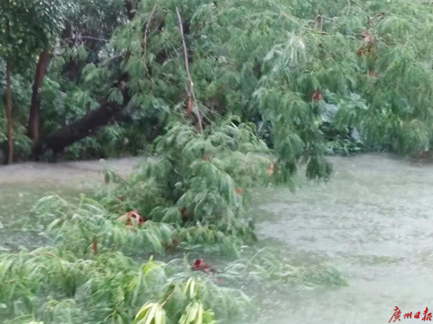 珠海:全市暴雨预警升级为红色,市公交全线暂停运营休闲区蓝鸢梦想 - Www.slyday.coM 珠海:全市暴雨预警升级为红色,市公交全线暂停运营休闲区蓝鸢梦想 - Www.slyday.coM