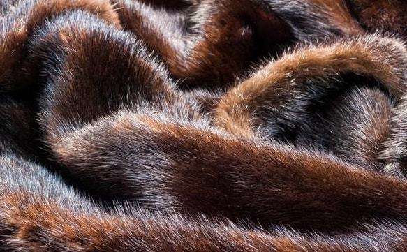 建州女真的农业发展和对明互市为努尔哈赤打下坚实的经济基础1 建州女真的农业发展和对明互市为努尔哈赤打下坚实的经济基础