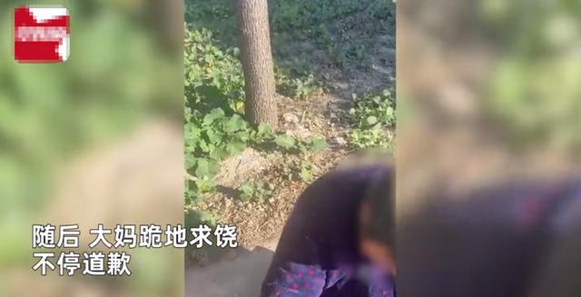 江苏一大妈用钥匙划奔驰车一圈,不料司机在车内玩手机,跪地求饶“没钱赔”休闲区蓝鸢梦想 - Www.slyday.coM 江苏一大妈用钥匙划奔驰车一圈,不料司机在车内玩手机,跪地求饶“没钱赔”休闲区蓝鸢梦想 - Www.slyday.coM