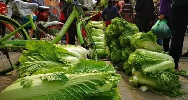 东北人买菜有多豪横?大妈一出手就是1000斤白菜……休闲区蓝鸢梦想 - Www.slyday.coM 东北人买菜有多豪横?大妈一出手就是1000斤白菜……休闲区蓝鸢梦想 - Www.slyday.coM