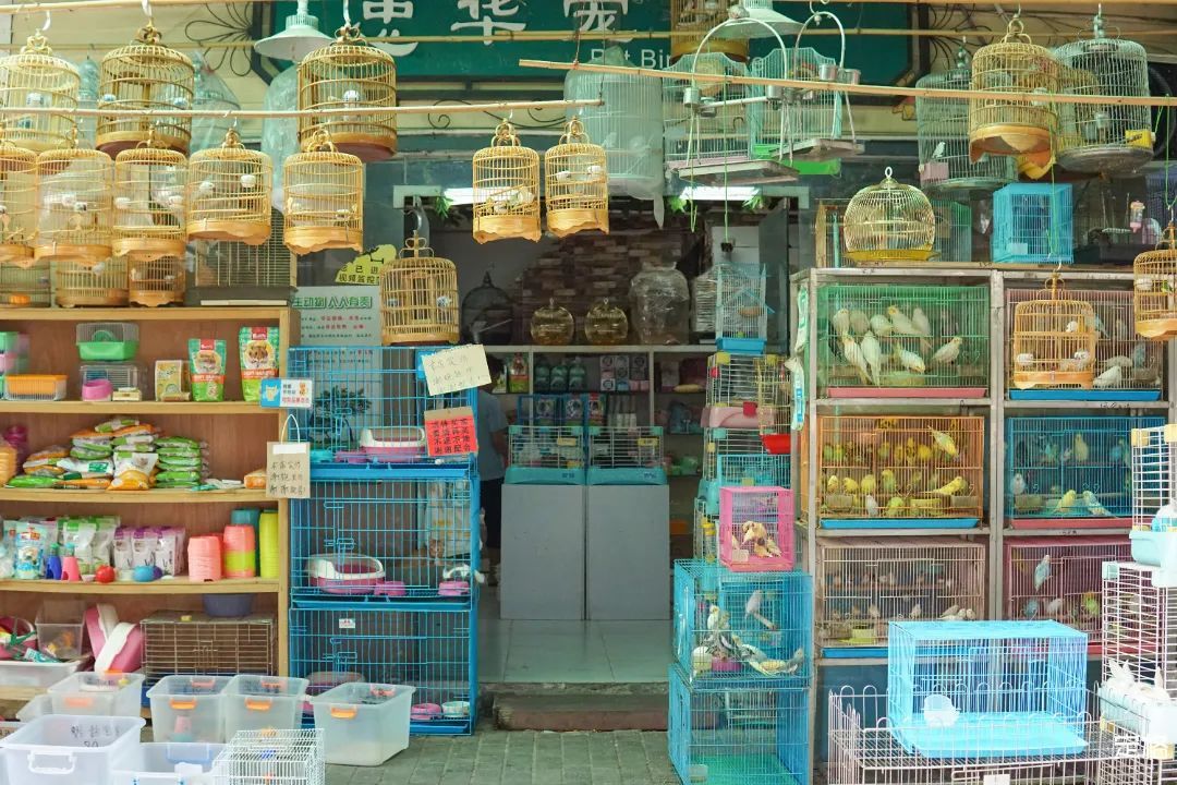 不用出国！深圳也能打卡「<a href=