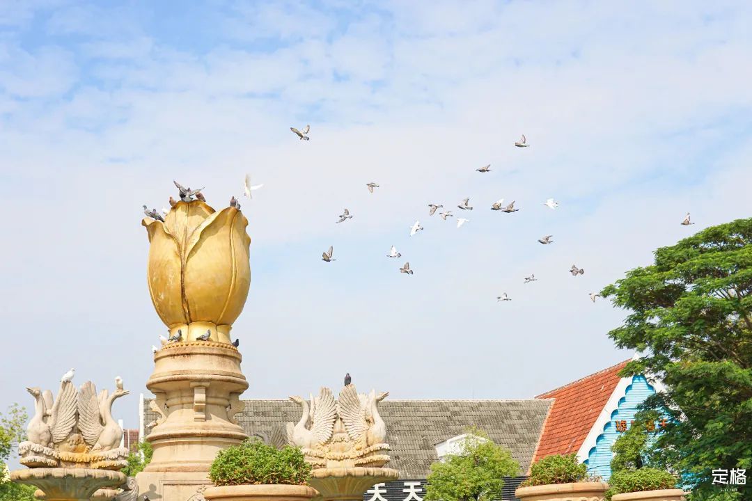 不用出国！深圳也能打卡「<a href=