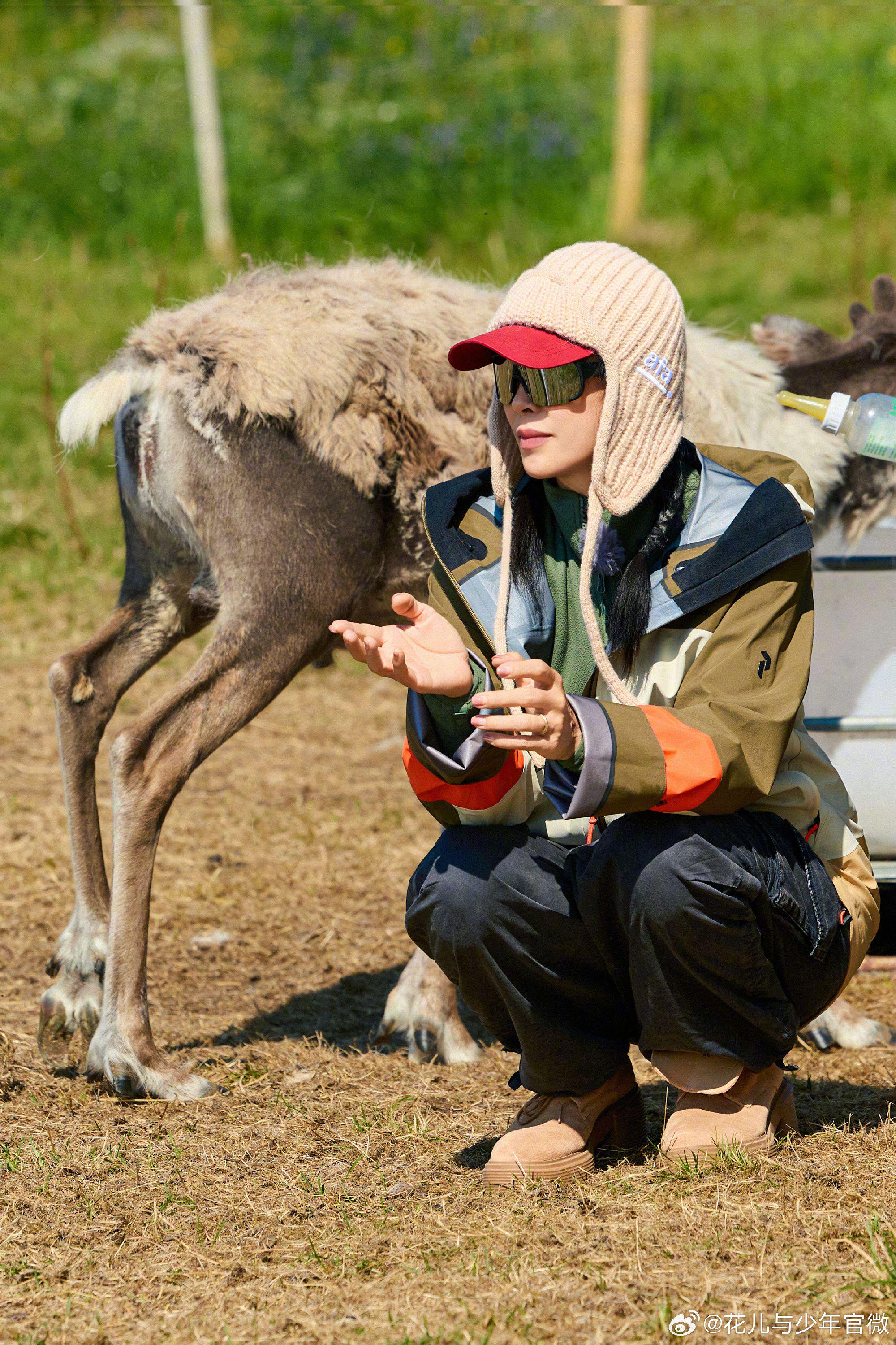 《花儿与少年·同心季》获2025最下饭综艺TOP