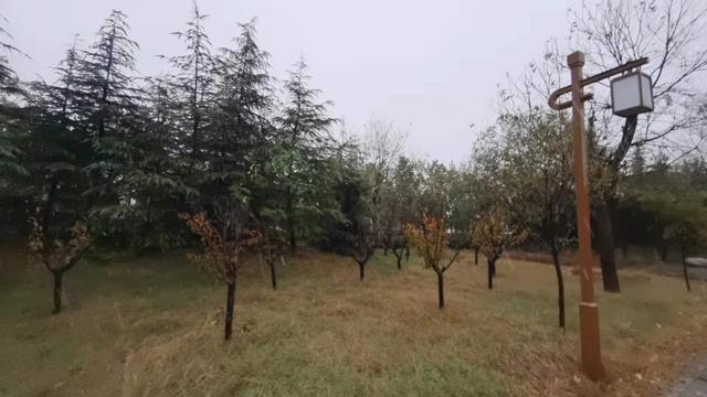 今天立冬、你那里下雪了吗 河南多地飘雪、郑州多地雪花纷飞休闲区蓝鸢梦想 - Www.slyday.coM 今天立冬、你那里下雪了吗 河南多地飘雪、郑州多地雪花纷飞休闲区蓝鸢梦想 - Www.slyday.coM