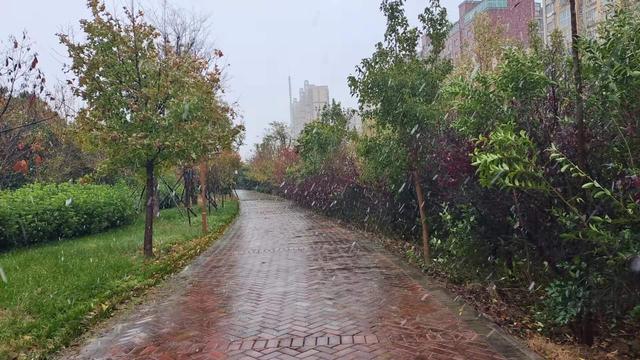 今天立冬、你那里下雪了吗 河南多地飘雪、郑州多地雪花纷飞休闲区蓝鸢梦想 - Www.slyday.coM 今天立冬、你那里下雪了吗 河南多地飘雪、郑州多地雪花纷飞休闲区蓝鸢梦想 - Www.slyday.coM