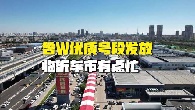 果然视频｜鲁W优质号牌发放，临沂市民车展购车忙