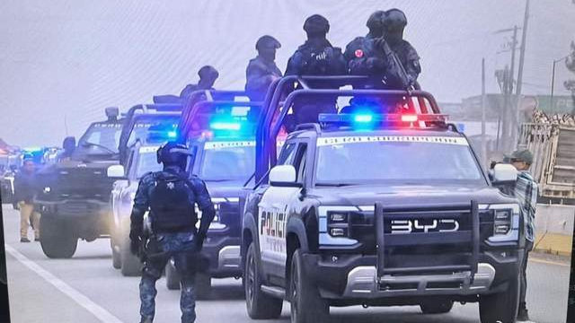 机关大院比亚迪成标配！国产车征服全球政府，中国智造真香