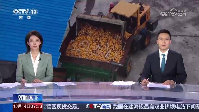 山东 秋粮抢收与保险理赔同步推进