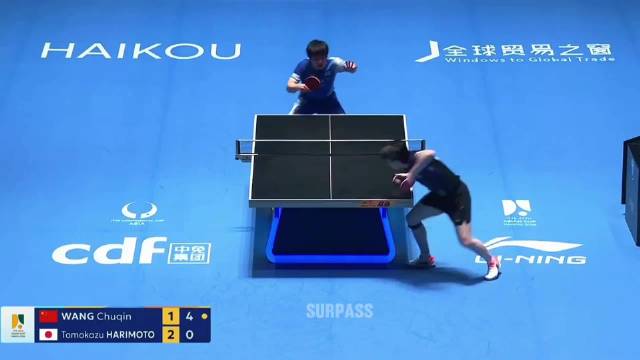 “逆天状态！你还是我认识的王楚钦吗？”