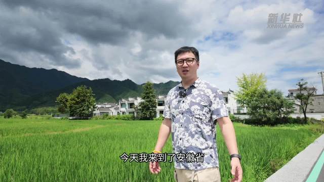 “黏”在村里的年轻人：一场乡村振兴的青年实践