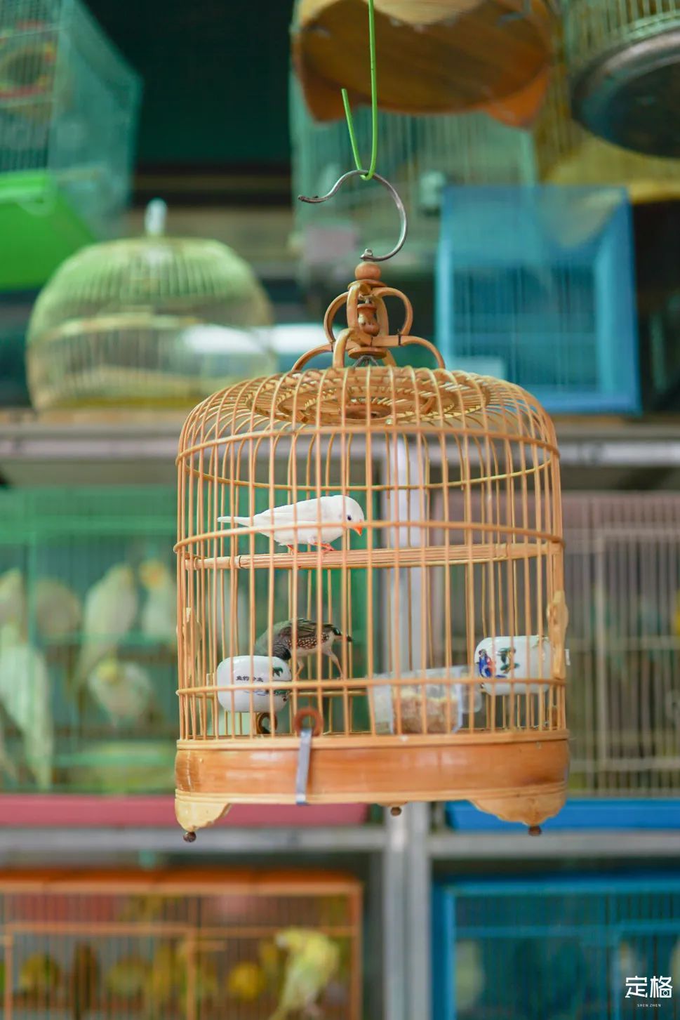 不用出国！深圳也能打卡「<a href=