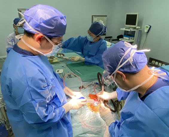 注意!3岁女童打闹中跌落磁力钉扎进颅内,撞碎颅骨刺破脑膜休闲区蓝鸢梦想 - Www.slyday.coM 注意!3岁女童打闹中跌落磁力钉扎进颅内,撞碎颅骨刺破脑膜休闲区蓝鸢梦想 - Www.slyday.coM