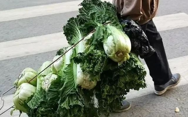 东北人买菜有多豪横?大妈一出手就是1000斤白菜……休闲区蓝鸢梦想 - Www.slyday.coM 东北人买菜有多豪横?大妈一出手就是1000斤白菜……休闲区蓝鸢梦想 - Www.slyday.coM