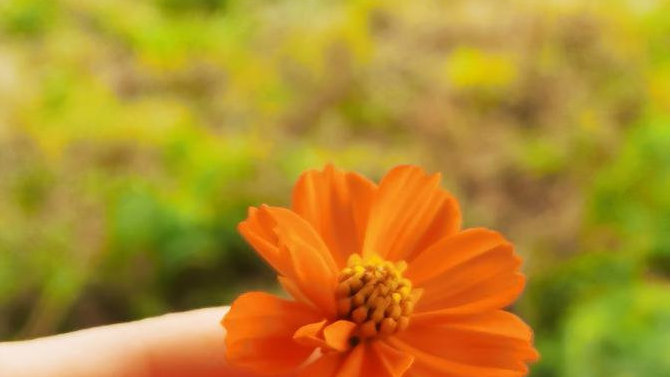 广汽埃安冲刺IPO！估值千亿，又一个比亚迪式的造富神话？