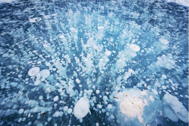 美国首富冷冻50年现状 为何至今仍未解冻