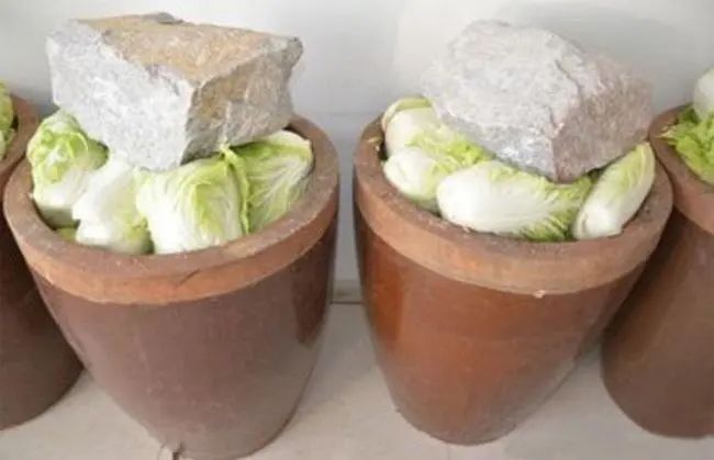 东北人买菜有多豪横?大妈一出手就是1000斤白菜……休闲区蓝鸢梦想 - Www.slyday.coM 东北人买菜有多豪横?大妈一出手就是1000斤白菜……休闲区蓝鸢梦想 - Www.slyday.coM