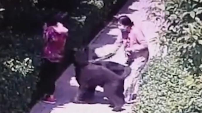 “狗咬人”事件牵出旧案!一男子称牵狗女子曾诈骗自己100万休闲区蓝鸢梦想 - Www.slyday.coM “狗咬人”事件牵出旧案!一男子称牵狗女子曾诈骗自己100万休闲区蓝鸢梦想 - Www.slyday.coM