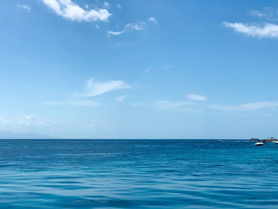 天空海水都是纯蓝色系,由于只有一个色彩,画面会显得干净纯洁.
