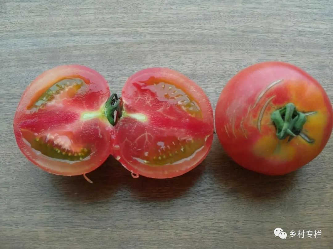 【健康】这种西红柿千万别吃，可能中毒_工作动态_汕头市卫生健康局（中医药局）