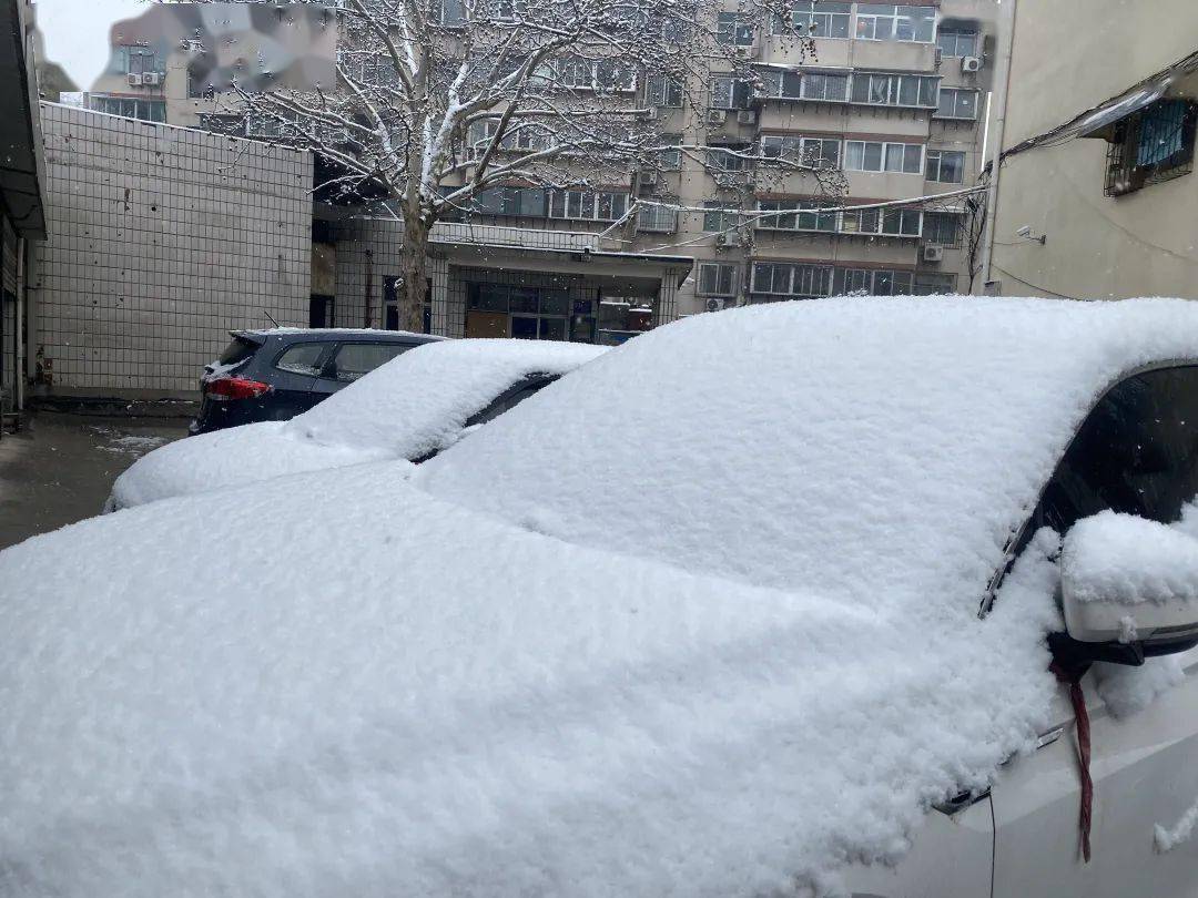 济南鹅毛大雪山东发布13个暴雪预警54个道路结冰预警