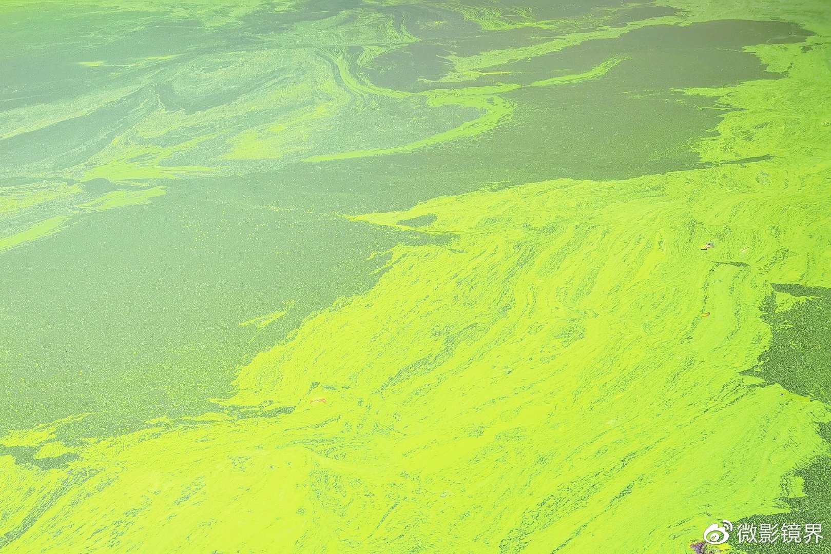 管理層暗流涌動(dòng) 杜蘭特與凱爾特人之間的潛在交易可能性分析