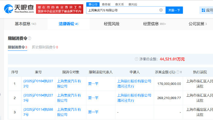 夏一平及上海集度汽车再次被限消