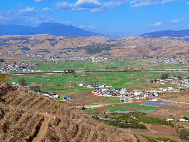 宾川县力角镇:冬早蔬菜春来卖,一方财气四方来