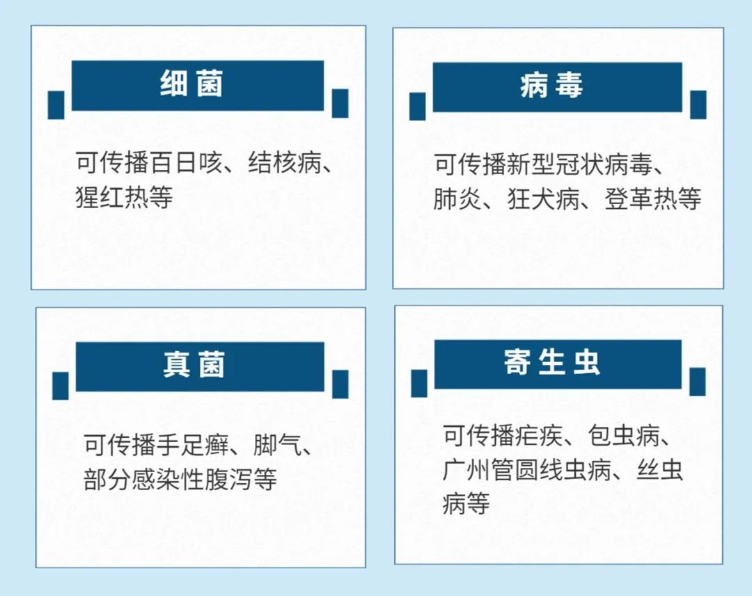 12月3日上海新增1例本土无症状感染者 公共场所如何预防传染性疾病?休闲区蓝鸢梦想 - Www.slyday.coM 12月3日上海新增1例本土无症状感染者 公共场所如何预防传染性疾病?休闲区蓝鸢梦想 - Www.slyday.coM