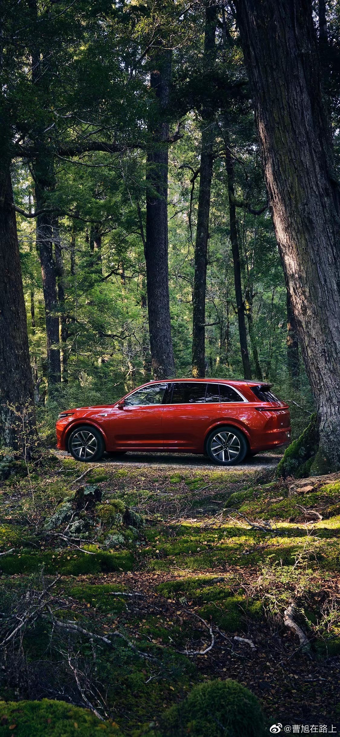 理想汽车推出首款暖色调车漆，朝气蓬勃的「曙光红」……